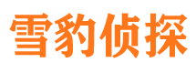 黄冈市私家侦探